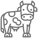 Cow Icon